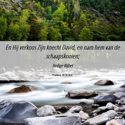 Picture 06 - Psalmen 78:70 NLD - En Hij verkoos Zijn knecht David, en nam hem van - Bible Verse Picture