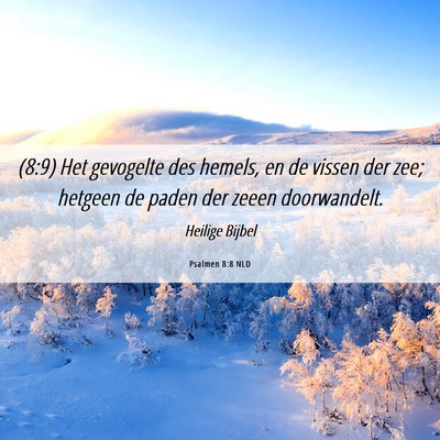 Picture 06 - Psalmen 8:8 NLD - (8:9) Het gevogelte des hemels, en de vissen der - Bible Verse Picture