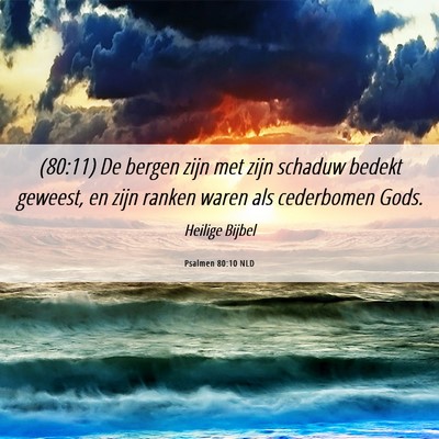 Picture 06 - Psalmen 80:10 NLD - (80:11) De bergen zijn met zijn schaduw bedekt - Bible Verse Picture