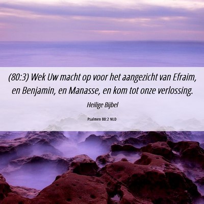 Picture 06 - Psalmen 80:2 NLD - (80:3) Wek Uw macht op voor het aangezicht van - Bible Verse Picture