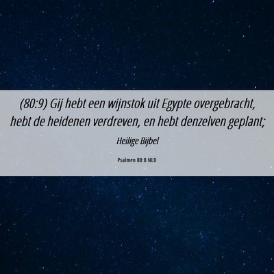 Picture 06 - Psalmen 80:8 NLD - (80:9) Gij hebt een wijnstok uit Egypte - Bible Verse Picture