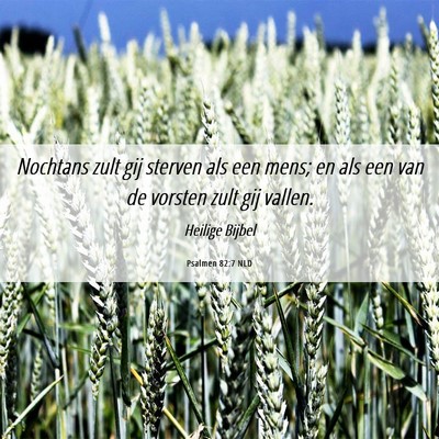 Picture 06 - Psalmen 82:7 NLD - Nochtans zult gij sterven als een mens; en als - Bible Verse Picture