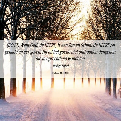 Picture 06 - Psalmen 84:11 NLD - (84:12) Want God, de HEERE, is een Zon en Schild; - Bible Verse Picture