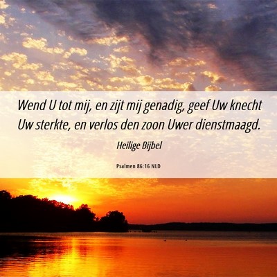 Picture 06 - Psalmen 86:16 NLD - Wend U tot mij, en zijt mij genadig, geef Uw - Bible Verse Picture