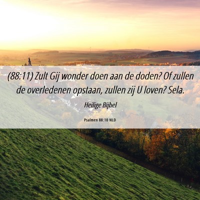 Picture 06 - Psalmen 88:10 NLD - (88:11) Zult Gij wonder doen aan de doden? Of - Bible Verse Picture