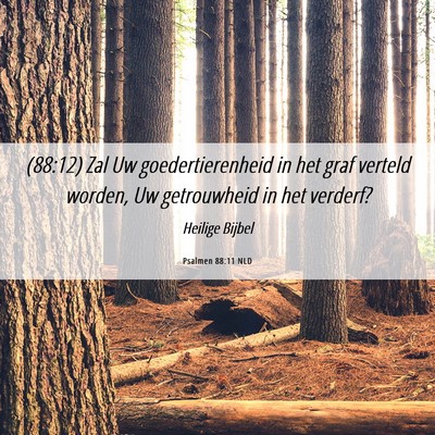 Picture 06 - Psalmen 88:11 NLD - (88:12) Zal Uw goedertierenheid in het graf - Bible Verse Picture