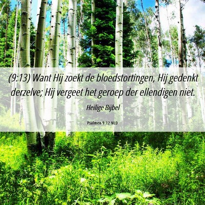 Picture 06 - Psalmen 9:12 NLD - (9:13) Want Hij zoekt de bloedstortingen, Hij - Bible Verse Picture