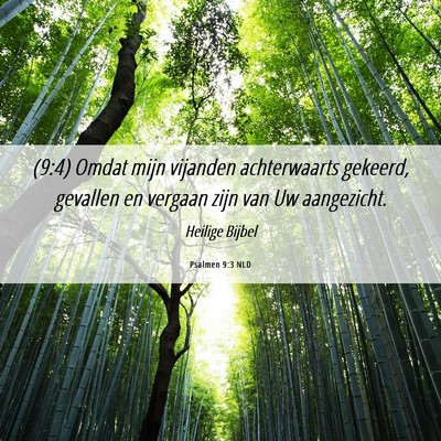 Picture 06 - Psalmen 9:3 NLD - (9:4) Omdat mijn vijanden achterwaarts gekeerd, - Bible Verse Picture