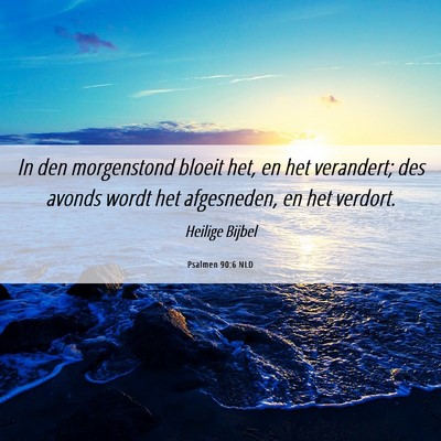 Picture 06 - Psalmen 90:6 NLD - In den morgenstond bloeit het, en het verandert; - Bible Verse Picture