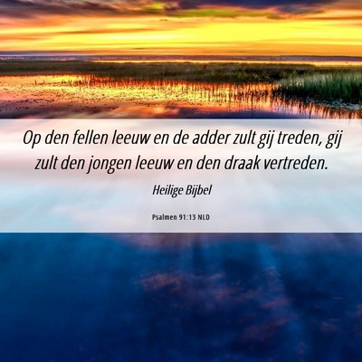 Picture 06 - Psalmen 91:13 NLD - Op den fellen leeuw en de adder zult gij treden, - Bible Verse Picture