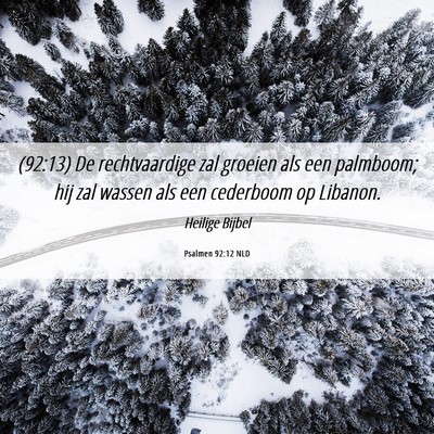 Picture 06 - Psalmen 92:12 NLD - (92:13) De rechtvaardige zal groeien als een - Bible Verse Picture