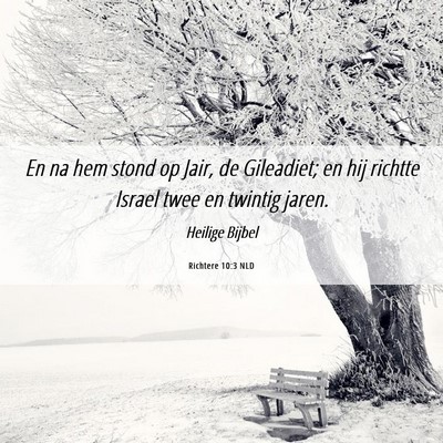 Picture 06 - Richtere 10:3 NLD - En na hem stond op Jair, de Gileadiet; en hij - Bible Verse Picture