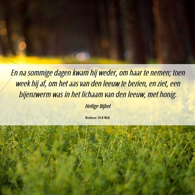 Picture 06 - Richtere 14:8 NLD - En na sommige dagen kwam hij weder, om haar te - Bible Verse Picture