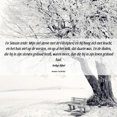 Picture 06 - Richtere 16:30 NLD - En Simson zeide: Mijn ziel sterve met de - Bible Verse Picture