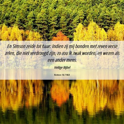 Picture 06 - Richtere 16:7 NLD - En Simson zeide tot haar: Indien zij mij bonden - Bible Verse Picture