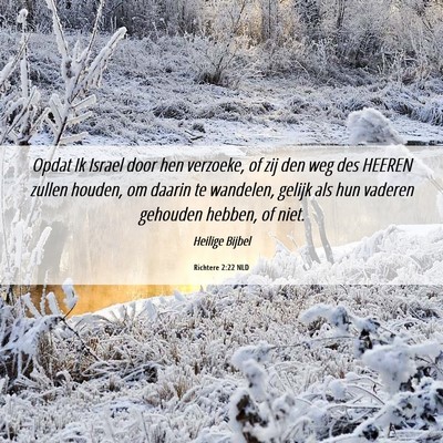Picture 06 - Richtere 2:22 NLD - Opdat Ik Israel door hen verzoeke, of zij den weg - Bible Verse Picture