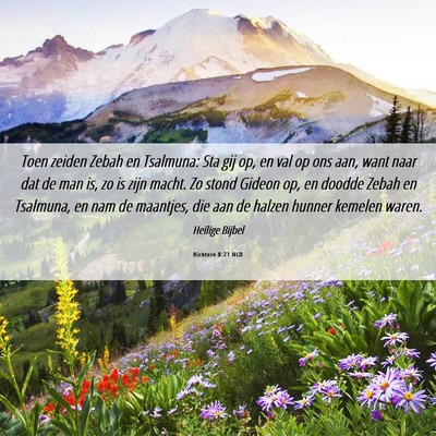 Picture 06 - Richtere 8:21 NLD - Toen zeiden Zebah en Tsalmuna: Sta gij op, en val - Bible Verse Picture
