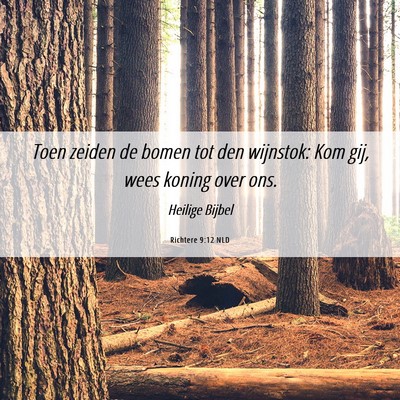 Picture 06 - Richtere 9:12 NLD - Toen zeiden de bomen tot den wijnstok: Kom gij, - Bible Verse Picture