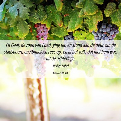 Picture 06 - Richtere 9:35 NLD - En Gaal, de zoon van Ebed, ging uit, en stond aan - Bible Verse Picture