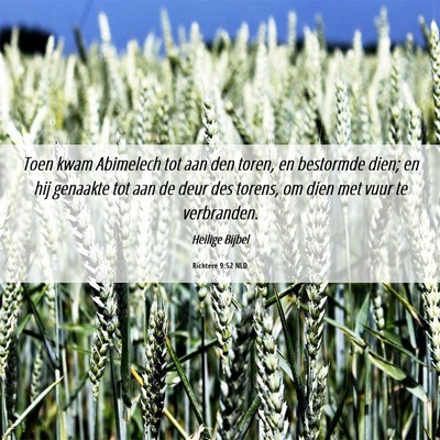Picture 06 - Richtere 9:52 NLD - Toen kwam Abimelech tot aan den toren, en - Bible Verse Picture