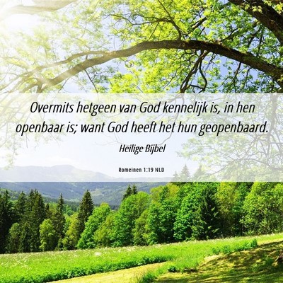 Picture 06 - Romeinen 1:19 NLD - Overmits hetgeen van God kennelijk is, in hen - Bible Verse Picture