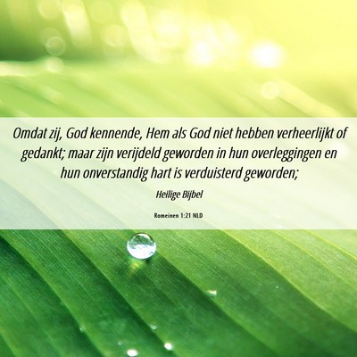 Picture 06 - Romeinen 1:21 NLD - Omdat zij, God kennende, Hem als God niet hebben - Bible Verse Picture