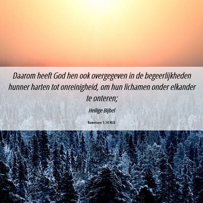 Picture 06 - Romeinen 1:24 NLD - Daarom heeft God hen ook overgegeven in de - Bible Verse Picture