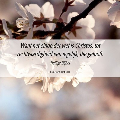 Picture 06 - Romeinen 10:4 NLD - Want het einde der wet is Christus, tot - Bible Verse Picture