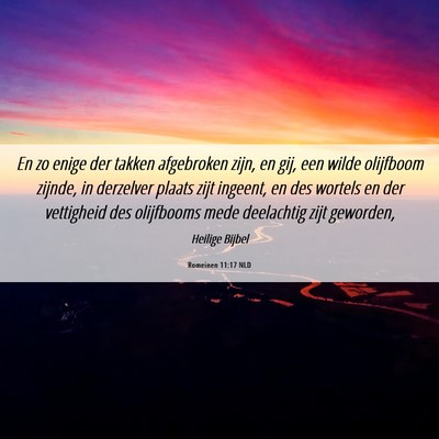 Picture 06 - Romeinen 11:17 NLD - En zo enige der takken afgebroken zijn, en gij, - Bible Verse Picture