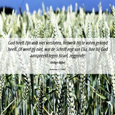 Picture 06 - Romeinen 11:2 NLD - God heeft Zijn volk niet verstoten, hetwelk Hij - Bible Verse Picture