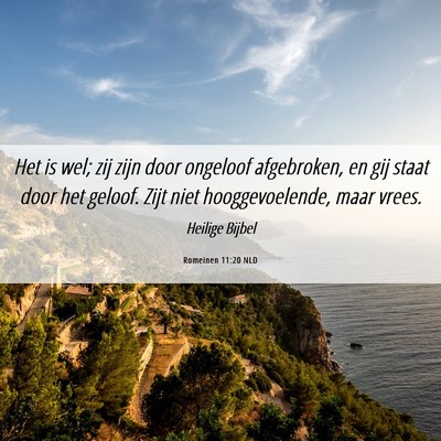 Picture 06 - Romeinen 11:20 NLD - Het is wel; zij zijn door ongeloof afgebroken, en - Bible Verse Picture