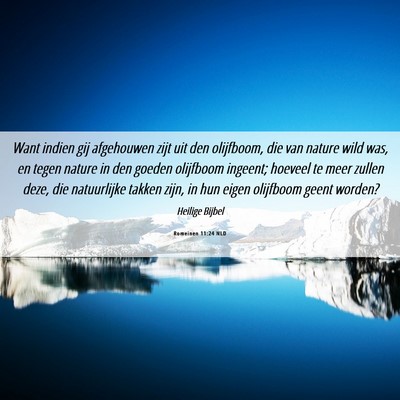 Picture 06 - Romeinen 11:24 NLD - Want indien gij afgehouwen zijt uit den - Bible Verse Picture