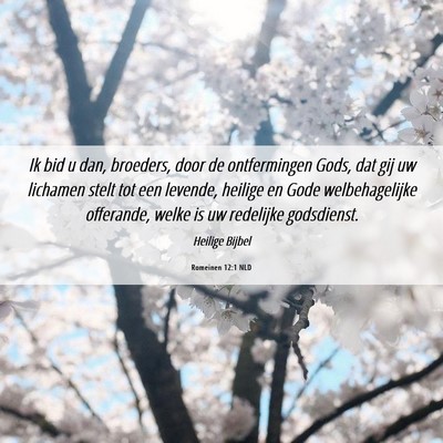 Picture 06 - Romeinen 12:1 NLD - Ik bid u dan, broeders, door de ontfermingen - Bible Verse Picture