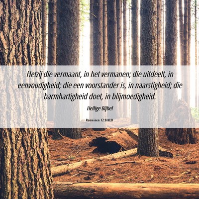 Picture 06 - Romeinen 12:8 NLD - Hetzij die vermaant, in het vermanen; die - Bible Verse Picture