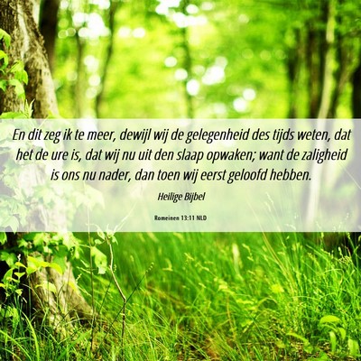 Picture 06 - Romeinen 13:11 NLD - En dit zeg ik te meer, dewijl wij de gelegenheid - Bible Verse Picture