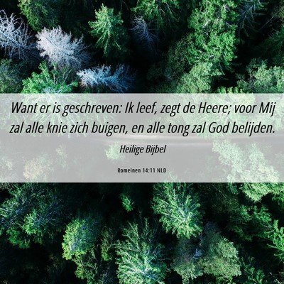 Picture 06 - Romeinen 14:11 NLD - Want er is geschreven: Ik leef, zegt de Heere; - Bible Verse Picture