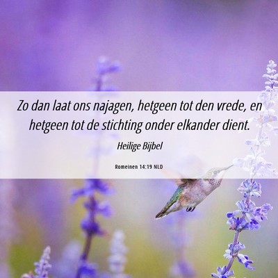 Picture 06 - Romeinen 14:19 NLD - Zo dan laat ons najagen, hetgeen tot den vrede, - Bible Verse Picture