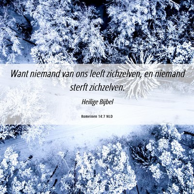 Picture 06 - Romeinen 14:7 NLD - Want niemand van ons leeft zichzelven, en niemand - Bible Verse Picture