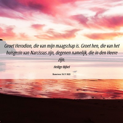 Picture 06 - Romeinen 16:11 NLD - Groet Herodion, die van mijn maagschap is. Groet - Bible Verse Picture