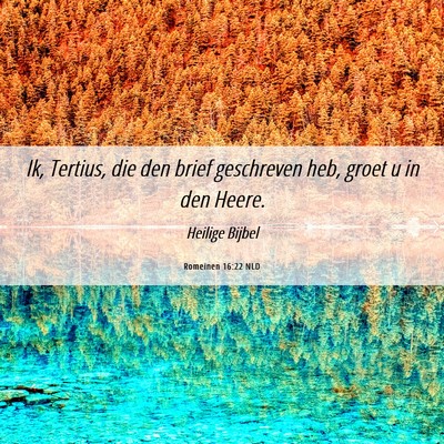 Picture 06 - Romeinen 16:22 NLD - Ik, Tertius, die den brief geschreven heb, groet - Bible Verse Picture