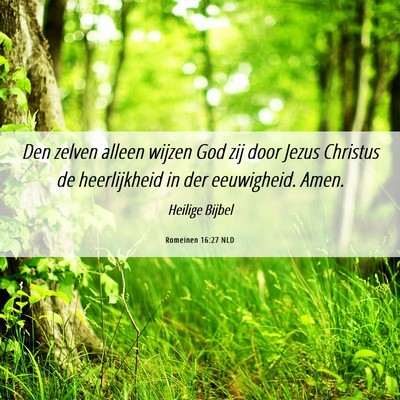 Picture 06 - Romeinen 16:27 NLD - Den zelven alleen wijzen God zij door Jezus - Bible Verse Picture