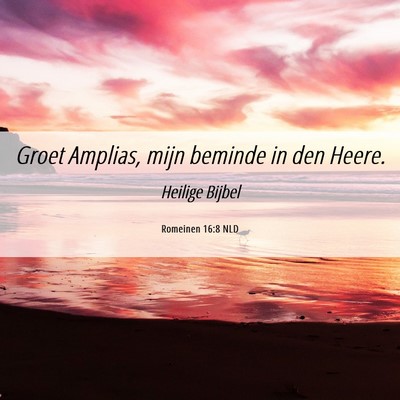 Picture 06 - Romeinen 16:8 NLD - Groet Amplias, mijn beminde in den - Bible Verse Picture