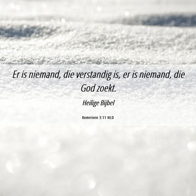 Picture 06 - Romeinen 3:11 NLD - Er is niemand, die verstandig is, er is niemand, - Bible Verse Picture