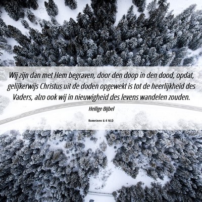 Picture 06 - Romeinen 6:4 NLD - Wij zijn dan met Hem begraven, door den doop in - Bible Verse Picture