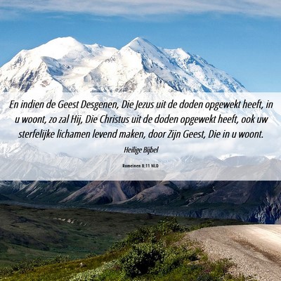 Picture 06 - Romeinen 8:11 NLD - En indien de Geest Desgenen, Die Jezus uit de - Bible Verse Picture