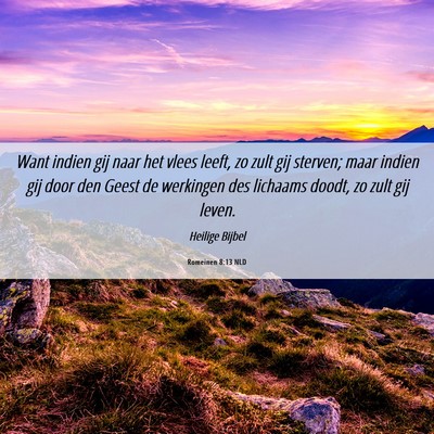Picture 06 - Romeinen 8:13 NLD - Want indien gij naar het vlees leeft, zo zult gij - Bible Verse Picture
