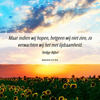 Picture 06 - Romeinen 8:25 NLD - Maar indien wij hopen, hetgeen wij niet zien, zo - Bible Verse Picture
