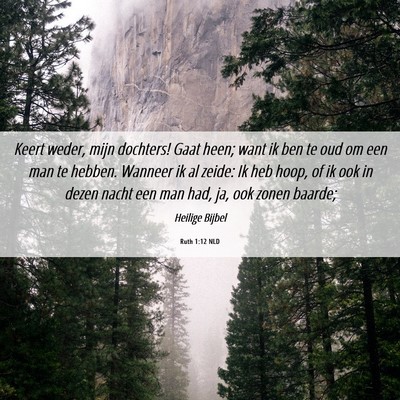 Picture 06 - Ruth 1:12 NLD - Keert weder, mijn dochters! Gaat heen; want ik - Bible Verse Picture