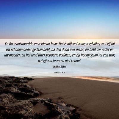 Picture 06 - Ruth 2:11 NLD - En Boaz antwoordde en zeide tot haar: Het is mij - Bible Verse Picture