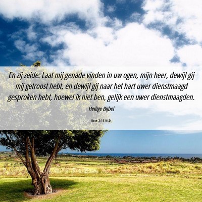 Picture 06 - Ruth 2:13 NLD - En zij zeide: Laat mij genade vinden in uw ogen, - Bible Verse Picture